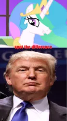 Size: 547x982 | Tagged: background pony strikes again, derpibooru import, donald trump, downvote bait, meme, politics, princess celestia, safe, spot the difference