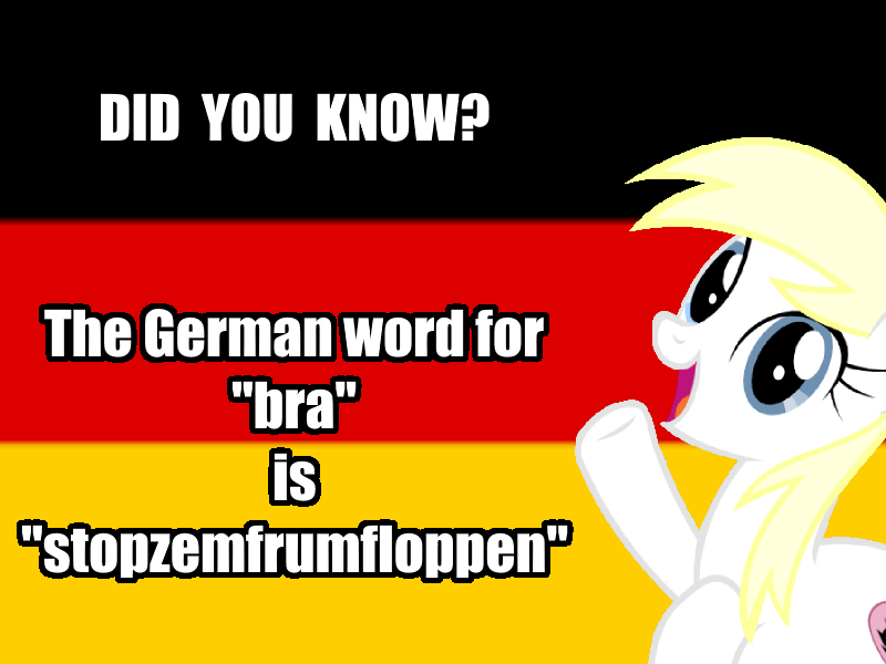 Size: 800x600 | Tagged: blatant lies, bra, clothes, derpibooru import, fun fact, german, german flag, grammar error, language, oc, oc:aryanne, op has a point, pun, safe, solo, text, underwear, unofficial characters only