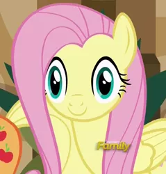 Size: 890x930 | Tagged: safe, derpibooru import, screencap, fluttershy, pony, viva las pegasus, cropped, discovery family logo, las pegasus stare, solo, thousand yard stare