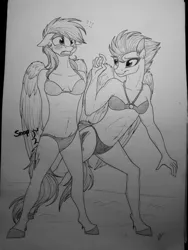 Size: 1224x1632 | Tagged: anthro, artist:lupiarts, bikini, blushing, clothes, derpibooru import, embarrassed, female, kinky, lesbian, love, mare, monochrome, panties, plantigrade anthro, rainbow dash, safe, sexy, shipping, sneaky, spitdash, spitfire, swimsuit, traditional art, underwear