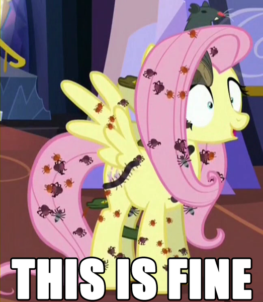 Size: 648x744 | Tagged: safe, derpibooru import, edit, edited screencap, screencap, fluttershy, bat, beetle, centipede, insect, pegasus, pony, rat, snake, spider, every little thing she does, creepy crawlies, female, image macro, mare, meme, solo, this is fine