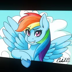 Size: 3000x3000 | Tagged: artist:ciderpunk, breaking the fourth wall, bust, cloud, derpibooru import, portrait, rainbow dash, safe, sky, solo, wings