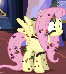 Size: 655x728 | Tagged: safe, derpibooru import, screencap, fluttershy, bat, beetle, centipede, insect, millipede, pegasus, pony, rat, snake, spider, every little thing she does, bug armor, creepy crawlies, cropped, fangs, female, fiducia compellia, hypnosis, hypnotized, mare, nightmare fuel, nope armor, smiling, solo, spread wings, wings, you know for kids