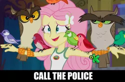 Size: 1280x842 | Tagged: safe, derpibooru import, edit, edited screencap, screencap, fluttershy, bird, owl, equestria girls, legend of everfree, call the police, clothes, discovery kids, eyebrows, nervous, outstretched arms, perching, songbird, tanktop