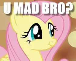 Size: 570x462 | Tagged: caption, cute, derpibooru import, edit, edited screencap, fluttershy, image macro, las pegasus scrunchyshy, meme, safe, screencap, shyabetes, smug, solo, viva las pegasus, you mad bro