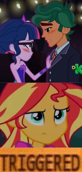 Size: 526x1098 | Tagged: safe, derpibooru import, edit, edited screencap, screencap, sci-twi, sunset shimmer, timber spruce, twilight sparkle, equestria girls, legend of everfree, discovery family, discovery kids, female, male, meme, shipping, straight, timbertwi, triggered