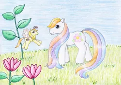 Size: 1024x722 | Tagged: artist:normaleeinsane, breezie, daffidazey, derpibooru import, flower, g3, g3betes, safe, traditional art, zipzee