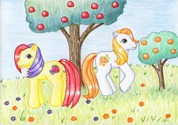 Size: 1024x720 | Tagged: safe, artist:normaleeinsane, derpibooru import, apple spice, citrus sweetheart, apple, flower, food, g3, orange, traditional art, tree