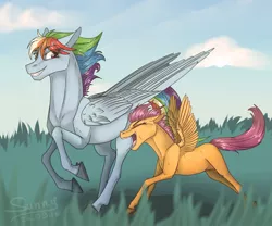 Size: 1000x833 | Tagged: safe, artist:sunny way, derpibooru import, rainbow dash, scootaloo, horse, pony, fanart, feather, female, grass, horsified, lesbian, mare, rcf community, running, scootadash, scootalove, shipping, sky, wings