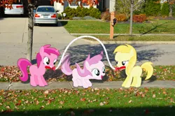 Size: 2464x1632 | Tagged: safe, artist:oppositebros, derpibooru import, applecore, noi, piña colada, ruby pinch, pony, awwpplecore, blank flank, cute, irl, jump rope, leaves, noiabetes, photo, piña cutelada, ponies in real life, skipping, vector