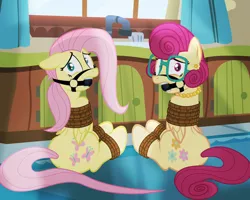 Size: 1024x819 | Tagged: suggestive, artist:radiantrealm, derpibooru import, part of a set, fluttershy, posey shy, ballgag, bondage, bridle, commission, duo, duo female, female, femsub, fluttersub, gag, glasses, image, kidnapped, looking at you, pearl necklace, png, ropes, scared, show accurate, show accurate porn, sitting, straps, submissive, tied up