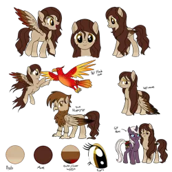 Size: 1000x1000 | Tagged: artist:karmadash, blank flank, blushing, derpibooru import, hippogriff, kryami, oc, oc:krystal feathers, oc:nami, pet, pet oc, reference sheet, safe, simple background, solo, transparent background, unofficial characters only, wet mane