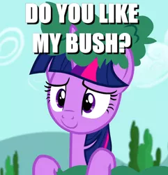 Size: 442x458 | Tagged: suggestive, derpibooru import, edit, edited screencap, screencap, twilight sparkle, twilight sparkle (alicorn), alicorn, pony, no second prances, bush, bushanka, bushicorn, double entendre, image macro, implied pubic hair, innuendo, meme, solo, twilight bushel