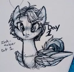 Size: 1434x1407 | Tagged: safe, artist:hippykat13, derpibooru import, oc, oc:kitty sweet, unofficial characters only, pegasus, pony, cute, freckles, monochrome, scar, short mane, solo, traditional art, wings