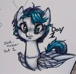 Size: 1433x1403 | Tagged: artist:hippykat13, cute, derpibooru import, freckles, oc, oc:kitty sweet, safe, scar, short mane, solo, traditional art, unofficial characters only, wings