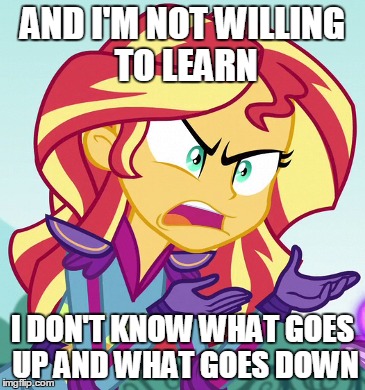Size: 365x390 | Tagged: safe, derpibooru import, sunset shimmer, equestria girls, friendship games, exploitable meme, image macro, meme, sunset is not willing to learn, upside down