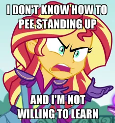 Size: 365x390 | Tagged: suggestive, derpibooru import, edit, edited screencap, screencap, sunset shimmer, equestria girls, friendship games, angry, exploitable, exploitable meme, image macro, meme, solo, sunset is not willing to learn