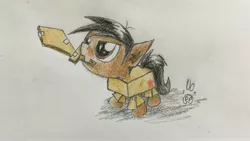 Size: 4032x2272 | Tagged: artist:professionalpuppy, cardboard, cardboard box, cute, derpibooru import, oc, oc:cocoa mocha, safe, solo, traditional art, unofficial characters only