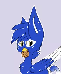 Size: 486x581 | Tagged: safe, artist:dookin, derpibooru import, oc, oc:clyne griffon, unofficial characters only, gryphon, cookie, eared griffon, fanart, food, solo