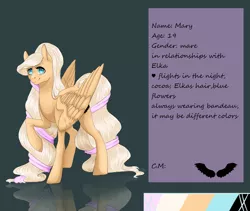 Size: 1900x1600 | Tagged: artist:maria-fly, derpibooru import, oc, oc:mary, reference sheet, ribbon, safe, solo, unofficial characters only