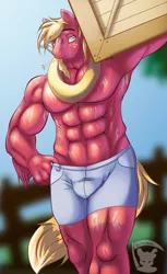 Size: 488x800 | Tagged: suggestive, artist:scythemouse, derpibooru import, big macintosh, anthro, abs, bare chest, clothes, male, muscles, partial nudity, solo, solo male, stupid sexy big macintosh, topless