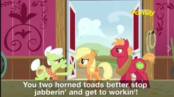 Size: 785x440 | Tagged: safe, derpibooru import, screencap, applejack, big macintosh, granny smith, earth pony, pony, where the apple lies, male, stallion, subtitles, teenage applejack, teenage big macintosh, younger