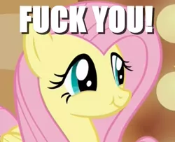 Size: 570x462 | Tagged: derpibooru import, edit, edited screencap, flutterbitch, fluttershy, image macro, insult, meme, safe, screencap, scrunchy face, smug, solo, viva las pegasus, vulgar