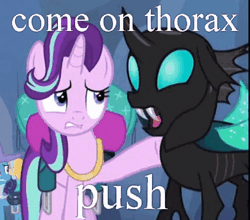 Size: 436x383 | Tagged: safe, derpibooru import, edit, edited screencap, screencap, starlight glimmer, thorax, trixie, changeling, pony, unicorn, to where and back again, animated, caption, female, gif, image macro, implied labor, loop, mare, meme