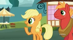 Size: 1273x709 | Tagged: safe, derpibooru import, screencap, applejack, big macintosh, earth pony, pony, where the apple lies, discovery family logo, male, stallion, teenage applejack, teenage big macintosh