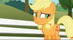 Size: 1665x911 | Tagged: safe, derpibooru import, screencap, applejack, earth pony, pony, where the apple lies, cute, female, filly, jackabetes, liar face, liarjack, scrunchy face, solo, teenage applejack, wavy mouth