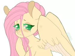 Size: 1024x776 | Tagged: safe, artist:riddlish, derpibooru import, fluttershy, pegasus, pony, bust, colored pupils, hoof on chin, looking at you, looking sideways, simple background, solo, spread wings, stray strand, teary eyes, white background, wings