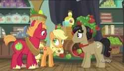 Size: 1280x738 | Tagged: safe, derpibooru import, screencap, applejack, big macintosh, filthy rich, earth pony, pony, where the apple lies, bowtie, discovery family logo, liar face, liarjack, male, scrunchy face, stallion, teenage applejack, teenage big macintosh