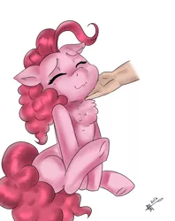 Size: 3400x4300 | Tagged: safe, artist:mrscurlystyles, derpibooru import, pinkie pie, earth pony, human, pony, :3, behaving like a cat, behaving like a dog, chest fluff, chin scratch, cute, diapinkes, eyes closed, female, hand, mare, petting, simple background, solo, underhoof, white background