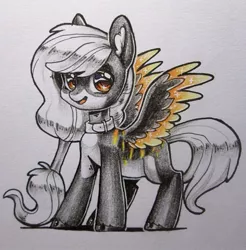 Size: 1063x1080 | Tagged: safe, artist:aphphphphp, derpibooru import, oc, unofficial characters only, pegasus, pony, collar, colored wings, colored wingtips, solo, traditional art, unshorn fetlocks