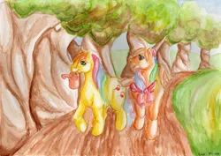 Size: 698x493 | Tagged: artist:nekokadi, derpibooru import, flutterbye, g1, nature, safe, traditional art, trickles, watering can