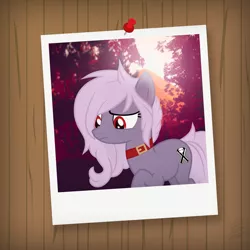 Size: 1500x1500 | Tagged: safe, artist:matthewboyz, derpibooru import, oc, oc:alephpins, oc:apostolllll, unofficial characters only, earth pony, pony, chocci, forest, polaroid, request, sad, solo, vector