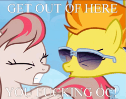 Size: 519x409 | Tagged: abuse, angel wings, animated, derpibooru import, edit, edited screencap, gif, image macro, meme, safe, screencap, spitfire, top bolt, vulgar, we are going to hell, yelling