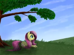 Size: 1600x1200 | Tagged: safe, artist:pony-stark, derpibooru import, fluttershy, pegasus, pony, cloud, female, folded wings, grass, looking away, mare, meadow, outdoors, profile, prone, relaxing, sky, smiling, solo, tree, under the tree