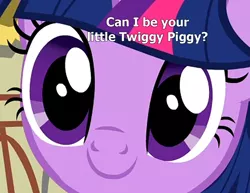 Size: 900x696 | Tagged: safe, derpibooru import, screencap, twilight sparkle, twilight sparkle (alicorn), alicorn, pony, pinkie pride, c:, cute, looking at you, smiling, solo, text, twiabetes, twiggy piggy