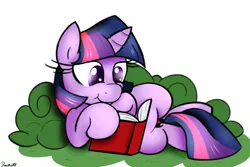 Size: 1500x1000 | Tagged: artist:ramott, book, bush, derpibooru import, reading, safe, solo, twilight sparkle