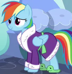 Size: 376x385 | Tagged: safe, derpibooru import, screencap, rainbow dash, pegasus, pony, tanks for the memories, bathrobe, clothes, cropped, female, mare, outfit catalog, robe, slippers, solo, tank slippers