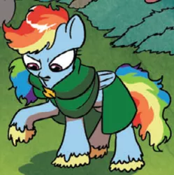 Size: 342x344 | Tagged: safe, derpibooru import, idw, rainbow dash, pegasus, pony, spoiler:comic, adventurer, cape, clothes, female, frodo baggins, hobbit, jewelry, lord of the rings, mare, outfit catalog, pendant, solo, unshorn fetlocks