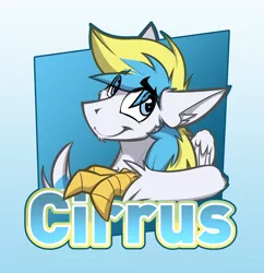 Size: 1680x1737 | Tagged: artist:ralek, badge, con badge, derpibooru import, gradient background, hippogriff, oc, oc:cirrus sky, original species, raised eyebrow, safe, smiling, solo, talons, text, unofficial characters only