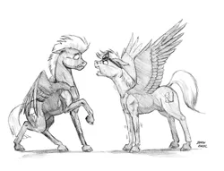 Size: 1400x1070 | Tagged: safe, artist:baron engel, derpibooru import, thunderlane, oc, oc:black rain, oc:sky brush, pegasus, pony, angry, duo, goggles, grayscale, monochrome, pencil drawing, sketch, spread wings, story included, traditional art