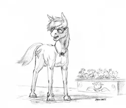 Size: 1400x1196 | Tagged: safe, artist:baron engel, derpibooru import, oc, unofficial characters only, pony, unicorn, flower, goggles, male, monochrome, pencil drawing, sketch, solo, stallion, traditional art