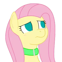 Size: 650x650 | Tagged: artist:redintravenous, artist:scriptkitty, blushing, bust, collar, derpibooru import, empty eyes, fluttershy, looking up, no catchlights, no pupils, safe, simple background, solo, transparent background