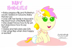 Size: 1500x1000 | Tagged: safe, artist:newportmuse, derpibooru import, honolu-loo, oc, oc:honolulu, unofficial characters only, pony, baby, baby pony, fact guide, hawaii, haywaii, reference sheet, solo