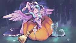 Size: 3840x2160 | Tagged: safe, artist:dream--chan, derpibooru import, oc, oc:pancake, oc:sapphire night, unofficial characters only, alicorn, cat, ghost, pony, alicorn oc, broom, cute, food, ghost cat, hat, ocbetes, pumpkin, witch hat