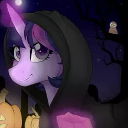 Size: 1024x1024 | Tagged: safe, artist:neonblaze909, derpibooru import, twilight sparkle, twilight sparkle (alicorn), alicorn, owl, pony, clothes, halloween, holiday, hoodie, jack-o-lantern, pumpkin, solo