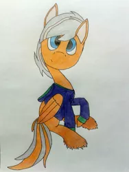 Size: 1920x2560 | Tagged: safe, artist:enter24, derpibooru import, oc, oc:steel wing, unofficial characters only, pegasus, pony, clothes, folded wings, hoodie, looking at you, raised hoof, simple background, sitting, solo, unshorn fetlocks, white background